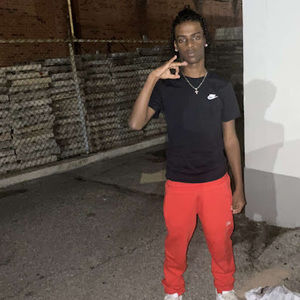 Meet your Posher, T.drako